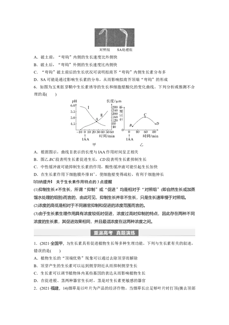 第8单元　第9课时　植物生长素及其生理作用_2024年新高考资料_1.2024一轮复习_2024年高考生物一轮复习讲义（新人教版）_学生版在此文件夹_大一轮复习讲义_第八单元　生命活动的调节