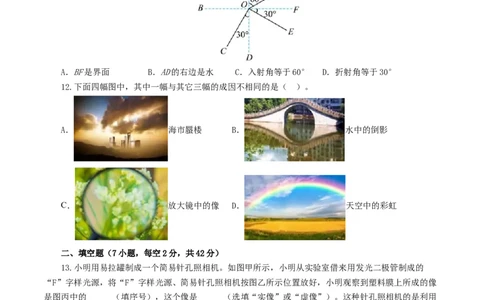 专题02光现象（测试）（原卷版）_8、物理总复习_8.中考物理总复习_2024年中考复习资料_一轮复习资料_完2024年中考物理一轮复习课件+讲义+练习（全国通用）