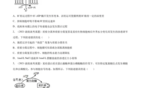 专题02物质进出细胞、酶和ATP-2021年高考真题和模拟题生物分项汇编（原卷版）_新高考复习资料_2022年新高考复习资料_2021年高考真题和模拟题生物分项汇编7.30更新