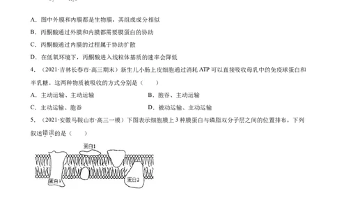 专题02物质进出细胞、酶和ATP-2021年高考真题和模拟题生物分项汇编（原卷版）_新高考复习资料_2022年新高考复习资料_2021年高考真题和模拟题生物分项汇编7.30更新