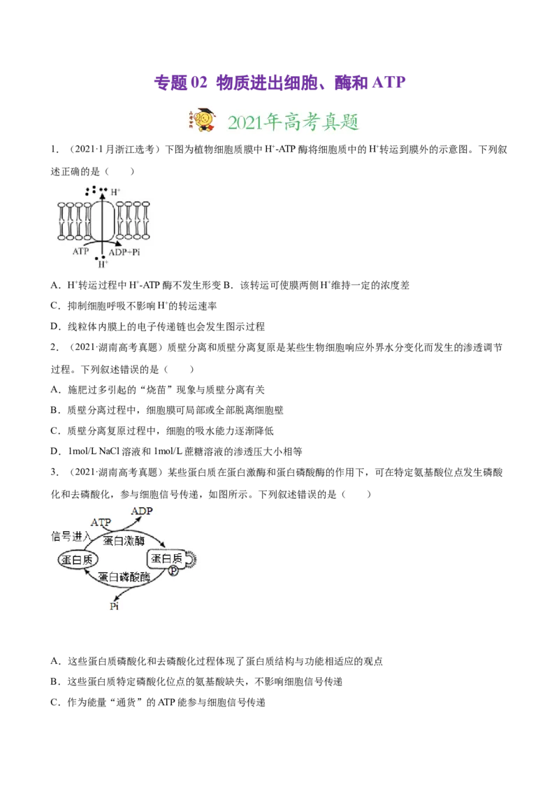 专题02物质进出细胞、酶和ATP-2021年高考真题和模拟题生物分项汇编（原卷版）_新高考复习资料_2022年新高考复习资料_2021年高考真题和模拟题生物分项汇编7.30更新