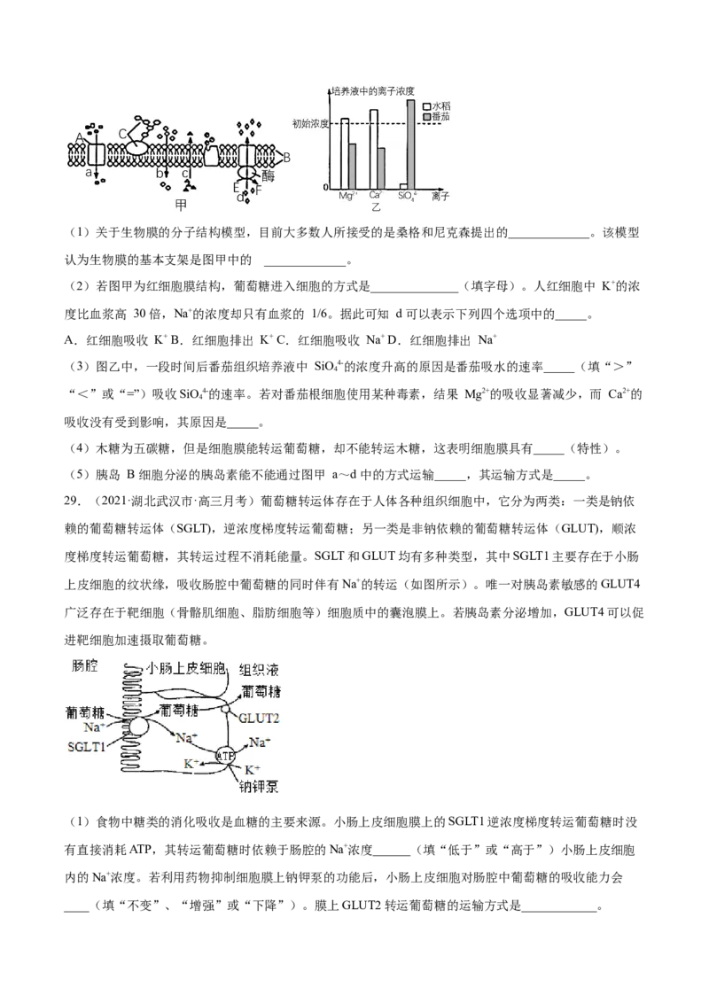 专题02物质进出细胞、酶和ATP-2021年高考真题和模拟题生物分项汇编（原卷版）_新高考复习资料_2022年新高考复习资料_2021年高考真题和模拟题生物分项汇编7.30更新
