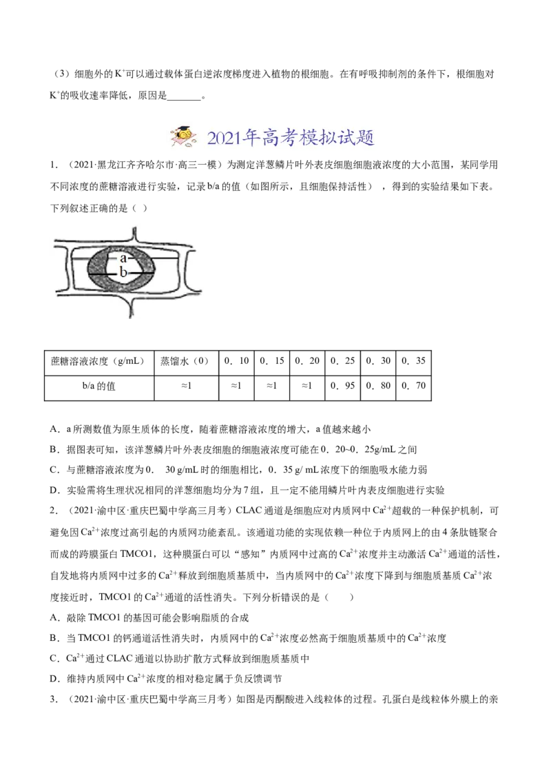 专题02物质进出细胞、酶和ATP-2021年高考真题和模拟题生物分项汇编（原卷版）_新高考复习资料_2022年新高考复习资料_2021年高考真题和模拟题生物分项汇编7.30更新