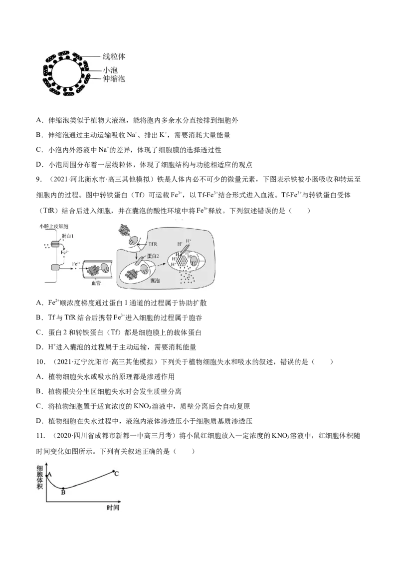 专题02物质进出细胞、酶和ATP-2021年高考真题和模拟题生物分项汇编（原卷版）_新高考复习资料_2022年新高考复习资料_2021年高考真题和模拟题生物分项汇编7.30更新