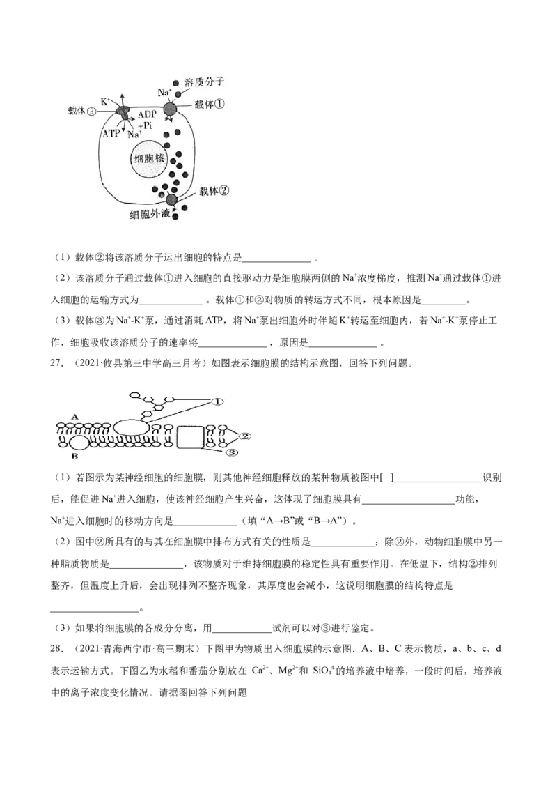 专题02物质进出细胞、酶和ATP-2021年高考真题和模拟题生物分项汇编（原卷版）_新高考复习资料_2022年新高考复习资料_2021年高考真题和模拟题生物分项汇编7.30更新