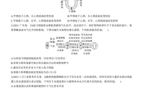 专题03细胞的物质输入和输出（测试卷）-2023年高考生物二轮复习讲练测（全国通用）（原卷版）_通用版（老高考）复习资料_2023年复习资料_二轮复习