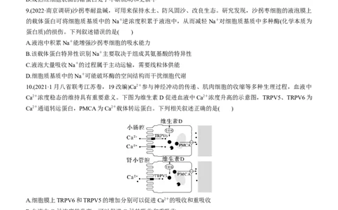 专题03细胞的物质输入和输出（测试卷）-2023年高考生物二轮复习讲练测（全国通用）（原卷版）_通用版（老高考）复习资料_2023年复习资料_二轮复习