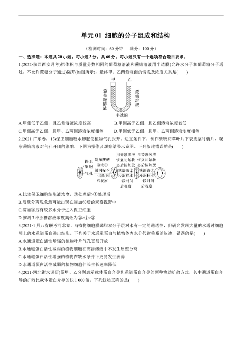 专题03细胞的物质输入和输出（测试卷）-2023年高考生物二轮复习讲练测（全国通用）（原卷版）_通用版（老高考）复习资料_2023年复习资料_二轮复习