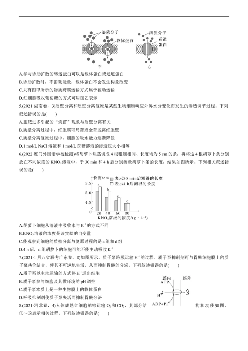 专题03细胞的物质输入和输出（测试卷）-2023年高考生物二轮复习讲练测（全国通用）（原卷版）_通用版（老高考）复习资料_2023年复习资料_二轮复习