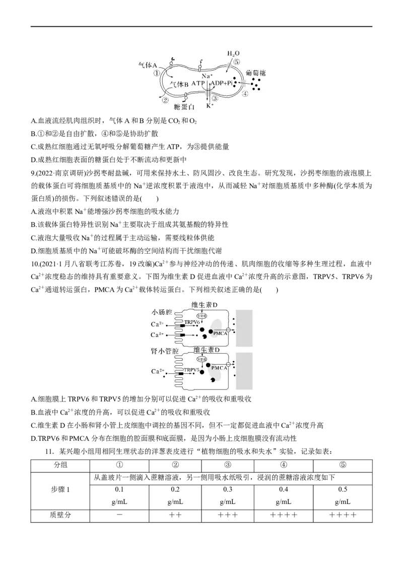 专题03细胞的物质输入和输出（测试卷）-2023年高考生物二轮复习讲练测（全国通用）（原卷版）_通用版（老高考）复习资料_2023年复习资料_二轮复习