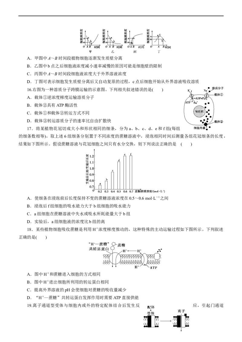 专题03细胞的物质输入和输出（测试卷）-2023年高考生物二轮复习讲练测（全国通用）（原卷版）_通用版（老高考）复习资料_2023年复习资料_二轮复习