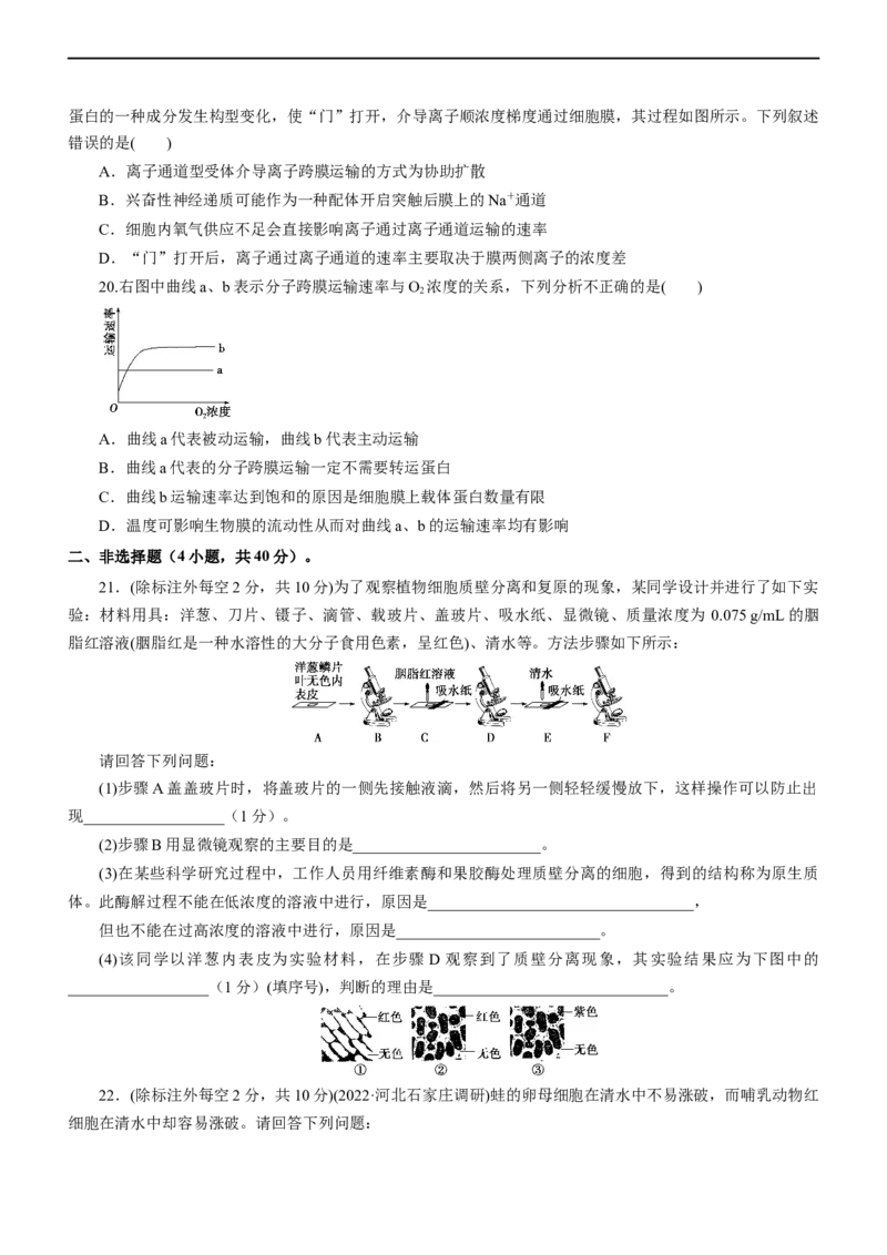 专题03细胞的物质输入和输出（测试卷）-2023年高考生物二轮复习讲练测（全国通用）（原卷版）_通用版（老高考）复习资料_2023年复习资料_二轮复习