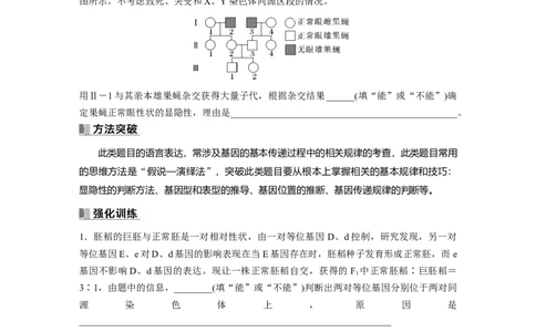 第5单元　长句表达(三)　遗传实验中相关推理分析_2024年新高考资料_1.2024一轮复习_2024年高考生物一轮复习讲义（新人教版）_学生版在此文件夹_大一轮复习讲义_第五单元　基因的传递规律