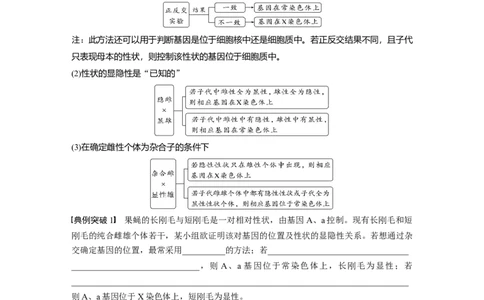 第5单元　第9课时　与性染色体相关的基因位置的分析与判断题型突破_2024年新高考资料_1.2024一轮复习_2024年高考生物一轮复习讲义（新人教版）_学生版在此文件夹_大一轮复习讲义