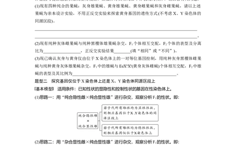 第5单元　第9课时　与性染色体相关的基因位置的分析与判断题型突破_2024年新高考资料_1.2024一轮复习_2024年高考生物一轮复习讲义（新人教版）_学生版在此文件夹_大一轮复习讲义