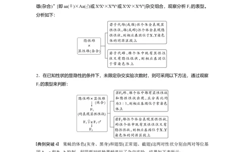 第5单元　第9课时　与性染色体相关的基因位置的分析与判断题型突破_2024年新高考资料_1.2024一轮复习_2024年高考生物一轮复习讲义（新人教版）_学生版在此文件夹_大一轮复习讲义