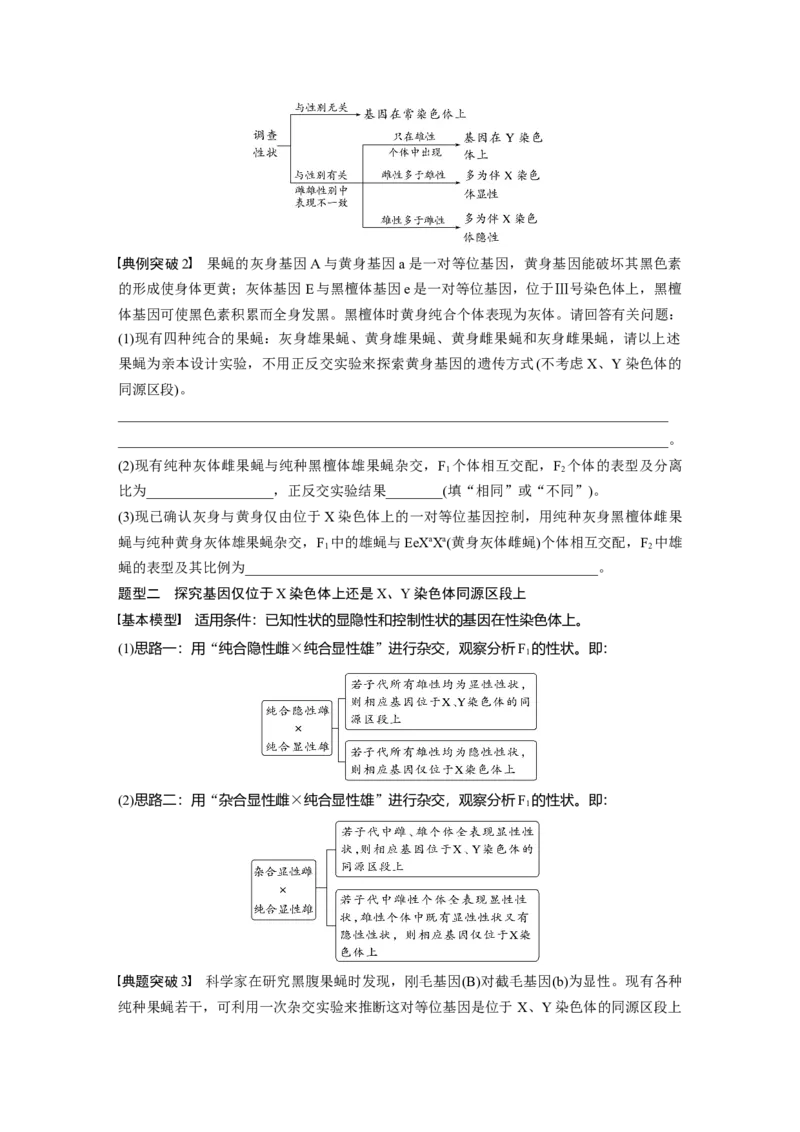 第5单元　第9课时　与性染色体相关的基因位置的分析与判断题型突破_2024年新高考资料_1.2024一轮复习_2024年高考生物一轮复习讲义（新人教版）_学生版在此文件夹_大一轮复习讲义