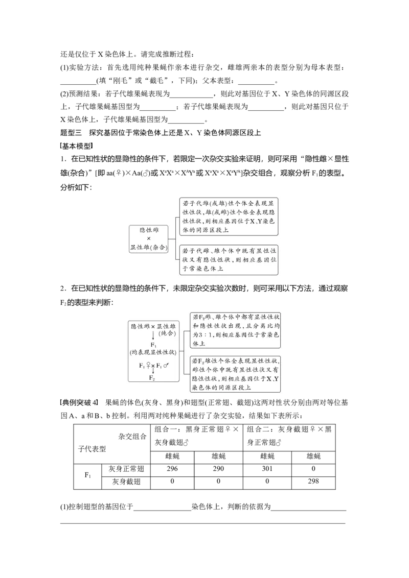 第5单元　第9课时　与性染色体相关的基因位置的分析与判断题型突破_2024年新高考资料_1.2024一轮复习_2024年高考生物一轮复习讲义（新人教版）_学生版在此文件夹_大一轮复习讲义