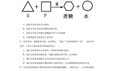 第一单元细胞及其分子组成（测试卷）（原卷版)_2024年新高考资料_3.2024专项复习_备战2024年高考生物一轮复习重难点专项突破
