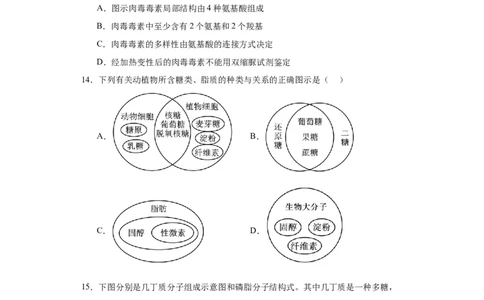 第一单元细胞及其分子组成（测试卷）（原卷版)_2024年新高考资料_3.2024专项复习_备战2024年高考生物一轮复习重难点专项突破