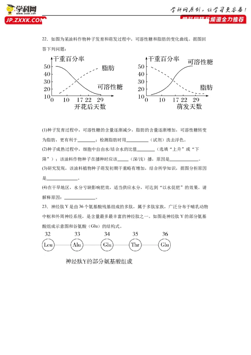 第一单元细胞及其分子组成（测试卷）（原卷版)_2024年新高考资料_3.2024专项复习_备战2024年高考生物一轮复习重难点专项突破