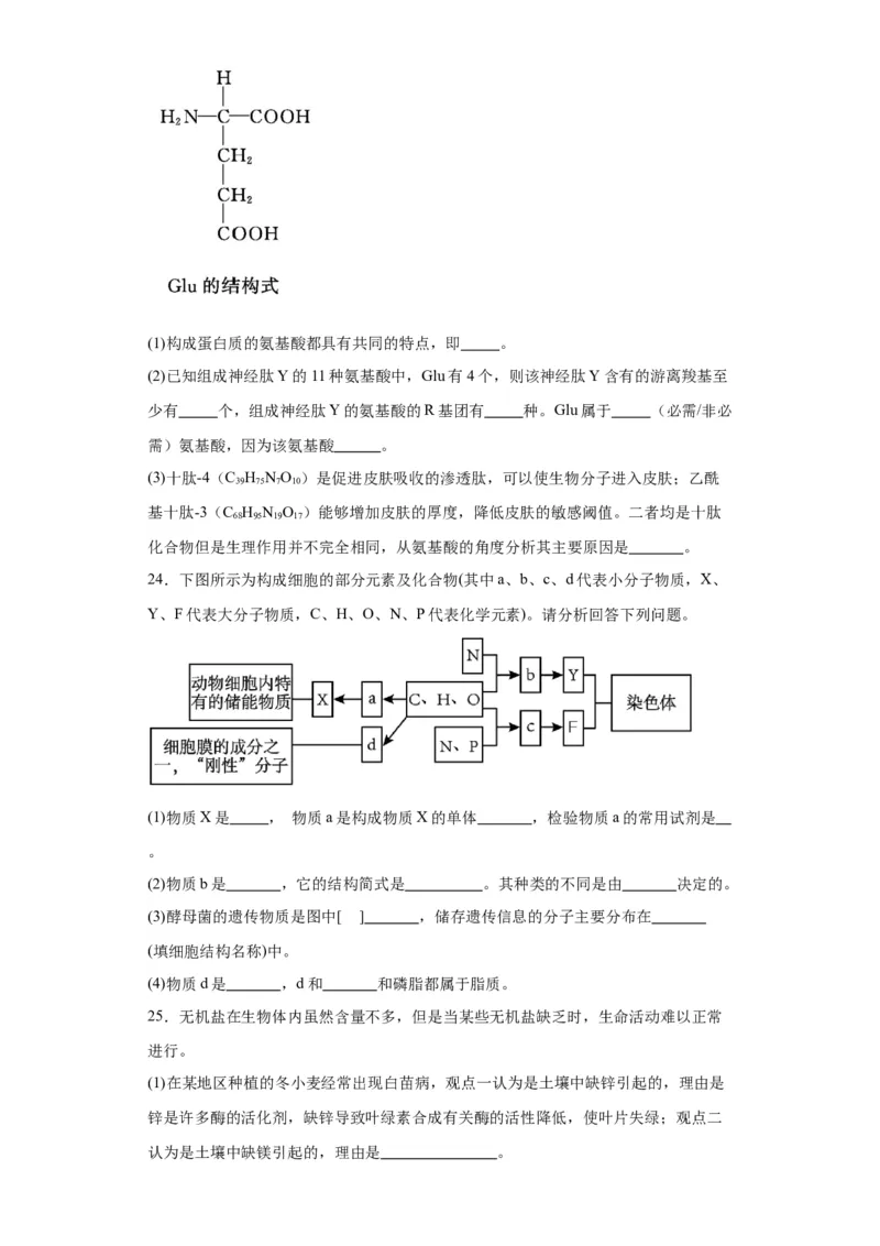 第一单元细胞及其分子组成（测试卷）（原卷版)_2024年新高考资料_3.2024专项复习_备战2024年高考生物一轮复习重难点专项突破
