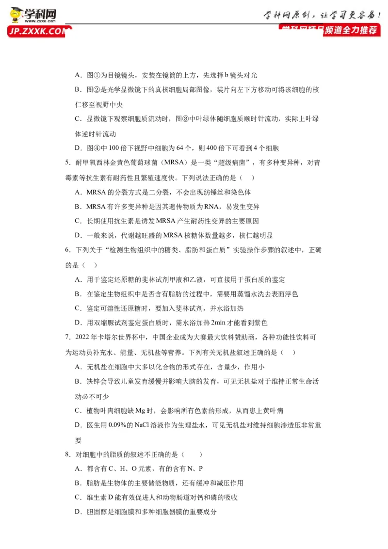 第一单元细胞及其分子组成（测试卷）（原卷版)_2024年新高考资料_3.2024专项复习_备战2024年高考生物一轮复习重难点专项突破