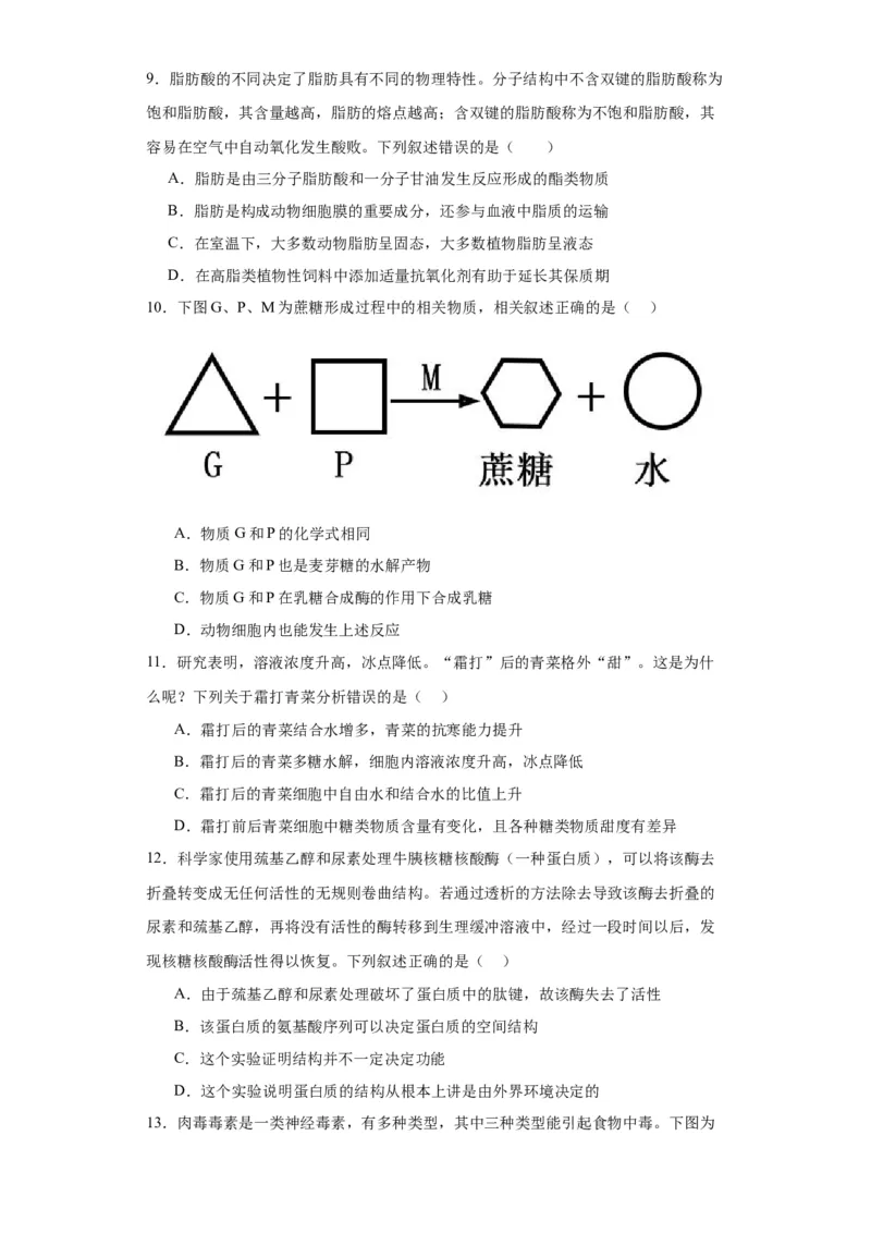 第一单元细胞及其分子组成（测试卷）（原卷版)_2024年新高考资料_3.2024专项复习_备战2024年高考生物一轮复习重难点专项突破