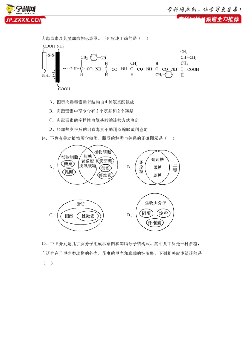 第一单元细胞及其分子组成（测试卷）（原卷版)_2024年新高考资料_3.2024专项复习_备战2024年高考生物一轮复习重难点专项突破