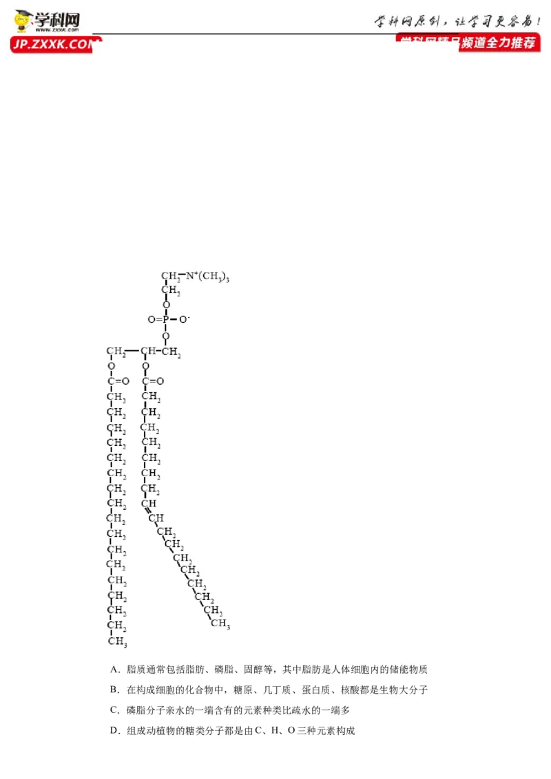 第一单元细胞及其分子组成（测试卷）（原卷版)_2024年新高考资料_3.2024专项复习_备战2024年高考生物一轮复习重难点专项突破
