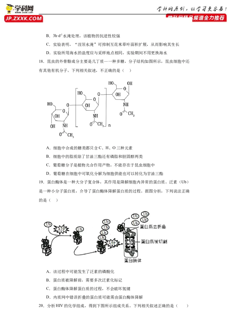 第一单元细胞及其分子组成（测试卷）（原卷版)_2024年新高考资料_3.2024专项复习_备战2024年高考生物一轮复习重难点专项突破