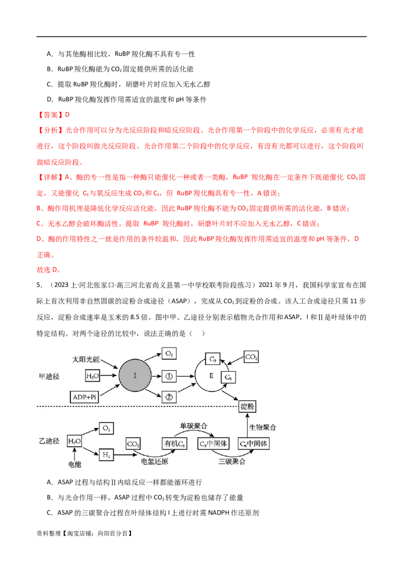 专题03细胞的能量供应和利用（解析版）_新高考复习资料_2024年新高考复习资料_❤专项复习资料_2024年高考生物热点&middot;重点&middot;难点专练（新高考专用）_教师版（含答案解析）