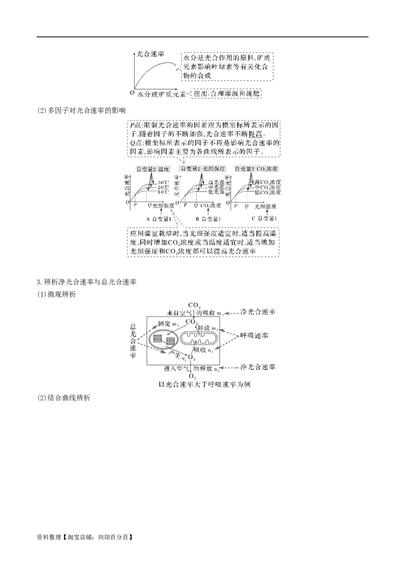 专题03细胞的能量供应和利用（解析版）_新高考复习资料_2024年新高考复习资料_❤专项复习资料_2024年高考生物热点&middot;重点&middot;难点专练（新高考专用）_教师版（含答案解析）