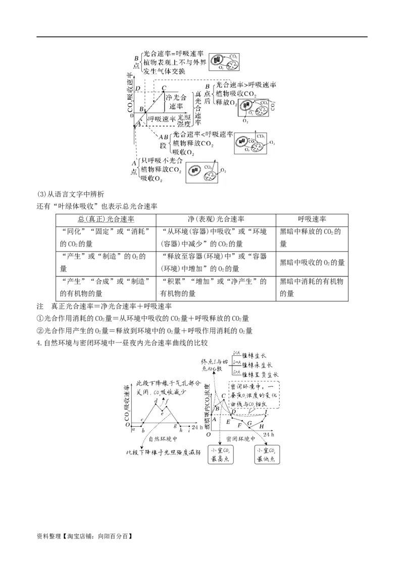 专题03细胞的能量供应和利用（解析版）_新高考复习资料_2024年新高考复习资料_❤专项复习资料_2024年高考生物热点&middot;重点&middot;难点专练（新高考专用）_教师版（含答案解析）