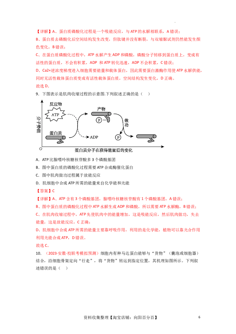 专题03酶与ATP（解析版）_新高考复习资料_2024年新高考复习资料_一轮复习资料_完备战2024年高考生物一轮复习重难点突破讲解与训练（新教材）_专题03酶与ATP