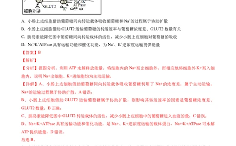 黄金卷01（解析版）-赢在高考&middot;黄金8卷备战2024年高考生物模拟卷（安徽专用）_2024年新高考资料_4.2024高考模拟预测试卷