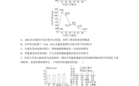 第8单元　课时练10　其他植物激素、植物生长调节剂及环境因素参与调节植物的生命活动_2024年新高考资料_1.2024一轮复习_2024年高考生物一轮复习讲义（新人教版）_学生版在此文件夹