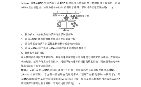 第6单元　微专题四　基因表达调控_2024年新高考资料_1.2024一轮复习_2024年高考生物一轮复习讲义（新人教版）_学生版在此文件夹_大一轮复习讲义_第六单元　遗传的物质基础