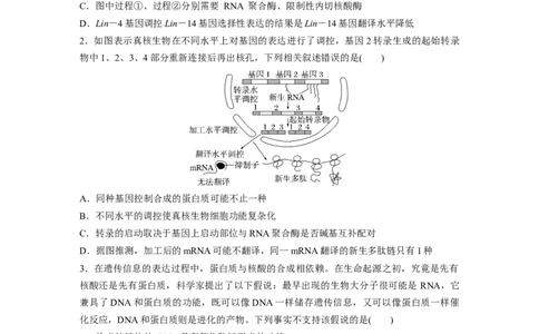 第6单元　微专题四　基因表达调控_2024年新高考资料_1.2024一轮复习_2024年高考生物一轮复习讲义（新人教版）_学生版在此文件夹_大一轮复习讲义_第六单元　遗传的物质基础