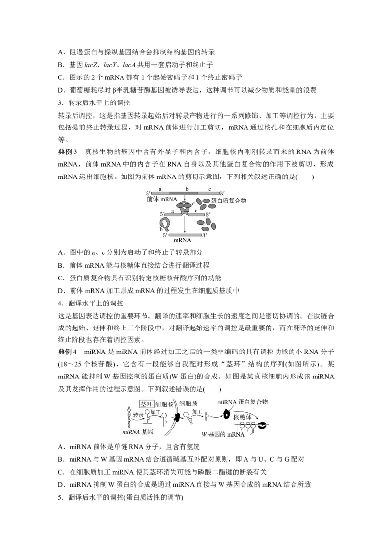 第6单元　微专题四　基因表达调控_2024年新高考资料_1.2024一轮复习_2024年高考生物一轮复习讲义（新人教版）_学生版在此文件夹_大一轮复习讲义_第六单元　遗传的物质基础