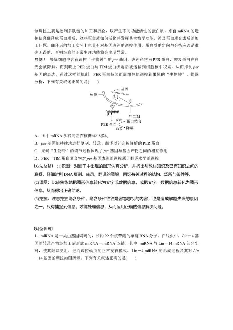 第6单元　微专题四　基因表达调控_2024年新高考资料_1.2024一轮复习_2024年高考生物一轮复习讲义（新人教版）_学生版在此文件夹_大一轮复习讲义_第六单元　遗传的物质基础