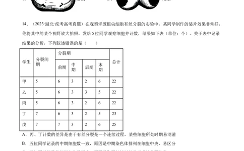 第四单元细胞的生命历程（测试）（原卷版）_2024年新高考资料_1.2024一轮复习_2024年高考生物一轮复习讲练测（新教材新高考）