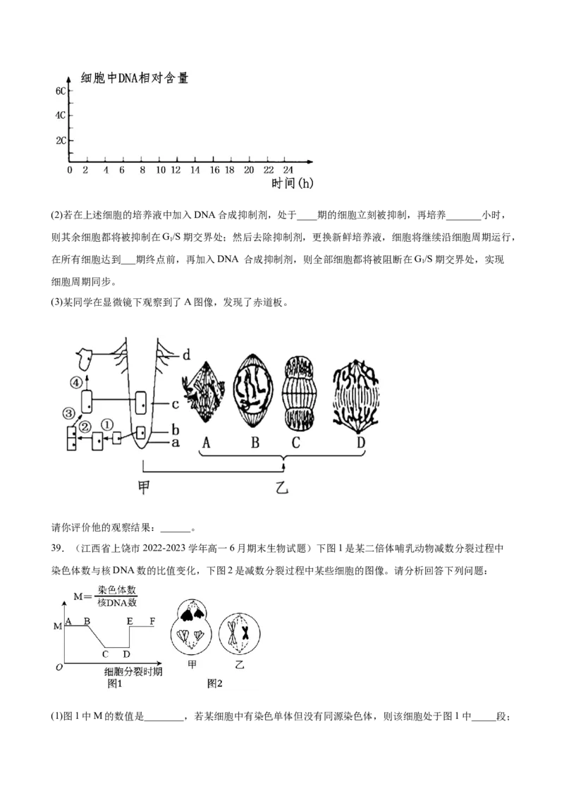 第四单元细胞的生命历程（测试）（原卷版）_2024年新高考资料_1.2024一轮复习_2024年高考生物一轮复习讲练测（新教材新高考）