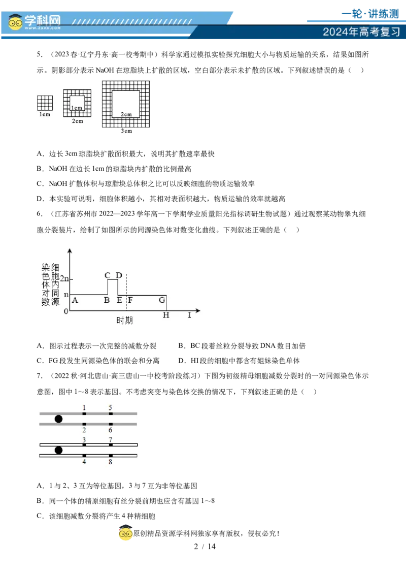 第四单元细胞的生命历程（测试）（原卷版）_2024年新高考资料_1.2024一轮复习_2024年高考生物一轮复习讲练测（新教材新高考）