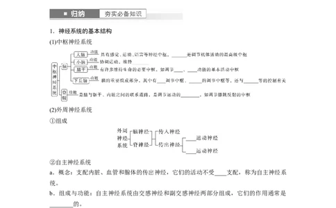 第8单元　第2课时　神经调节的结构基础及基本方式_2024年新高考资料_1.2024一轮复习_2024年高考生物一轮复习讲义（新人教版）_学生版在此文件夹_大一轮复习讲义