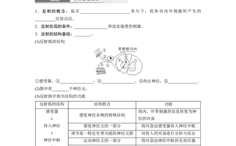 第8单元　第2课时　神经调节的结构基础及基本方式_2024年新高考资料_1.2024一轮复习_2024年高考生物一轮复习讲义（新人教版）_学生版在此文件夹_大一轮复习讲义