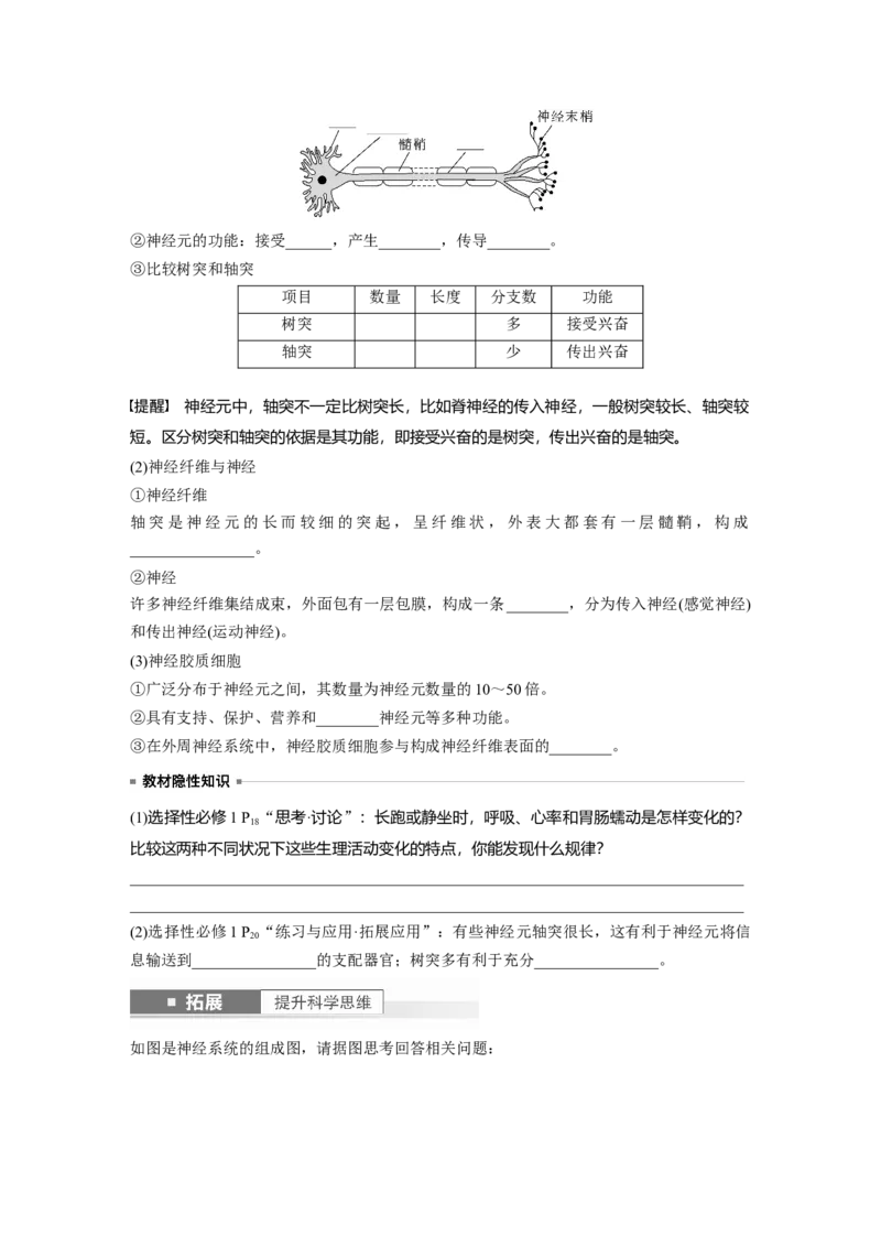 第8单元　第2课时　神经调节的结构基础及基本方式_2024年新高考资料_1.2024一轮复习_2024年高考生物一轮复习讲义（新人教版）_学生版在此文件夹_大一轮复习讲义