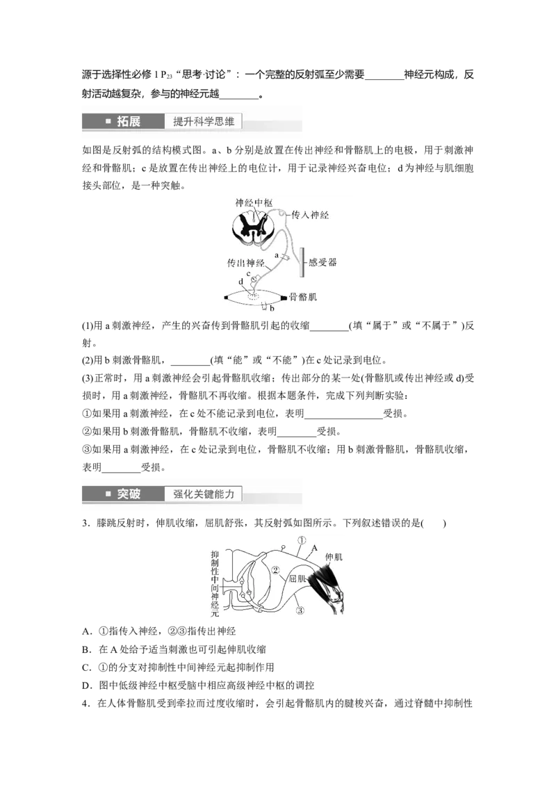 第8单元　第2课时　神经调节的结构基础及基本方式_2024年新高考资料_1.2024一轮复习_2024年高考生物一轮复习讲义（新人教版）_学生版在此文件夹_大一轮复习讲义