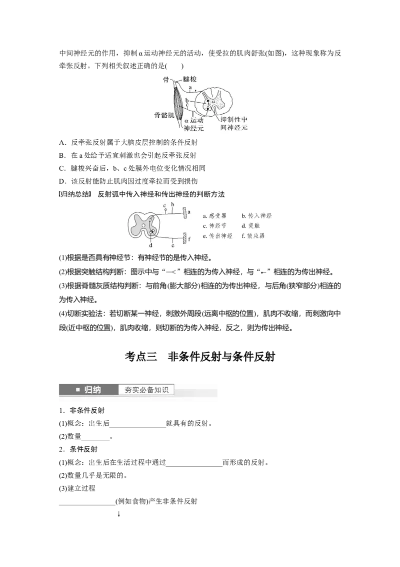 第8单元　第2课时　神经调节的结构基础及基本方式_2024年新高考资料_1.2024一轮复习_2024年高考生物一轮复习讲义（新人教版）_学生版在此文件夹_大一轮复习讲义