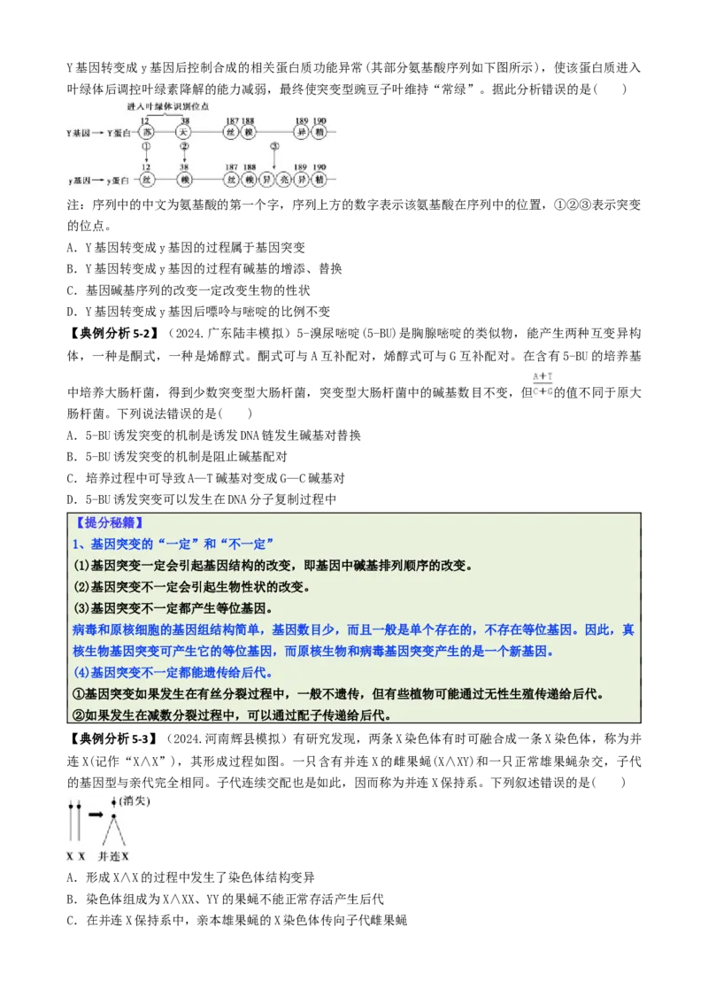 专题05新情境素材选择题（原卷版）_2025年新高考资料_二轮复习_2025年高考生物二轮热点题型归纳与变式演练（新高考通用）3404350